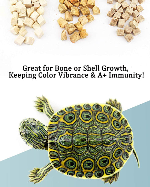 3 in 1 Meat Turtle Food - Natural Freeze Dried Human-Grade Chicken, Duck & Fish Treats