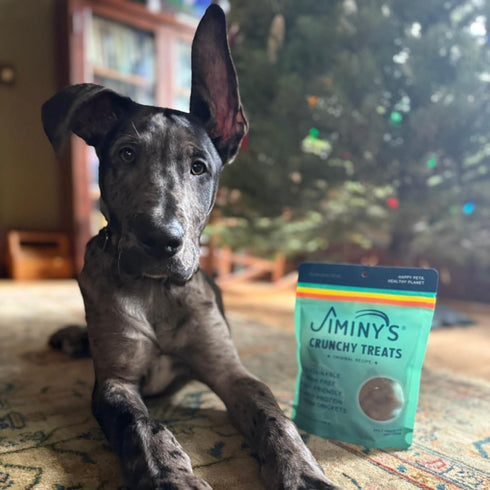 Tummy 5oz (Pack 1) Jiminy's Crunchy Original Peanut Butter & Pumpkin Dog Treat, Hypoallergenic, Prebiotic, Friendly
