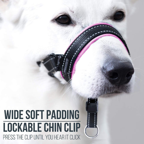 GoodBoy Dog Head Halter with Safety Strap: Padded Headcollar for Small, Medium, and Large Dogs (Size 2, Pink)