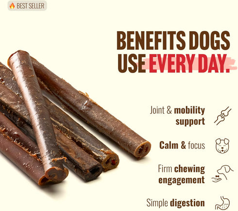 (6 Inch, 10 Pack), 95% Natural Farm Odor-Free Bully Coated Gourmet Collagen Sticks Real Bully Beef Coated, Natural