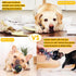 Dog Puppy Toys 23 Pack - Puppy Chew Toys for Fun and Teeth Cleaning - Squeak Toys and Tug of War Toys