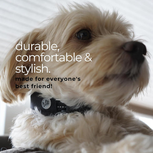 Airtag Dog Collar, Premium Holder with Adjustable Heavy Duty 3M Reflective No Chafing Ultra Soft Air Mesh for Small