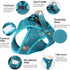HEYWEAN Cat Harness and Leash, Ultra Light Escape Proof Kitten Collar Walking Jacket, Soft and Comfortable