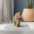 Pet Blanket for Dogs and Cats - 24 * 16 Inch Soft Cozy Blanket with Lovely Paw Prints Fit for Sofa Bed and Floor (Grey) by PISPETS
