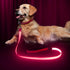 LED Dog Leash, Light Up 4 Feet Micro USB Rechargeable Nylon Webbing Glow Safety Standard Leash, Pink