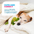 ALL FOR PAWS Ultrasonic Silent Squeaker Dog Toy, Quiet Comfort Plush Toy for Home and Office