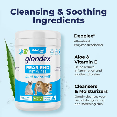 Glandex Dog Wipes by Vetnique Labs, Cleansing & Deodorizing Anal Gland Wipes for Dogs & Cats, 75ct
