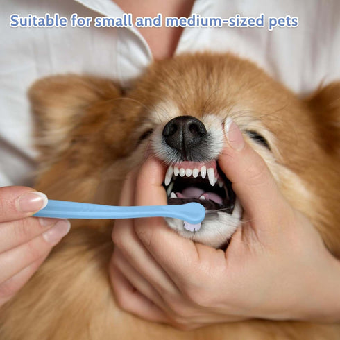 salbsever 2 Pack Dog and Cat Toothbrush Kit - Mini Head Soft Brush for Deep Clean - Suitable for Puppy, Kitten, Small