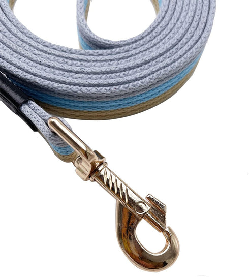 Soft Cotton Web Dog Leash, Basic Training Walking Lead, 5FT Long, 3/4 Inch Wide (Blue)