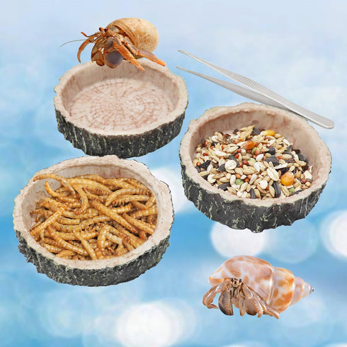 3 Pack Reptile Water Dish Food Bowls, Hermit Crab Food Dish, Bearded Dragon Water Bowl for Tortoise, Turtle, Frog