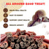 Amazing Dog Treats 12 Inch Collagen Stick, 5 Count, Collagen Bully Sticks for Dogs, No Hide Bones