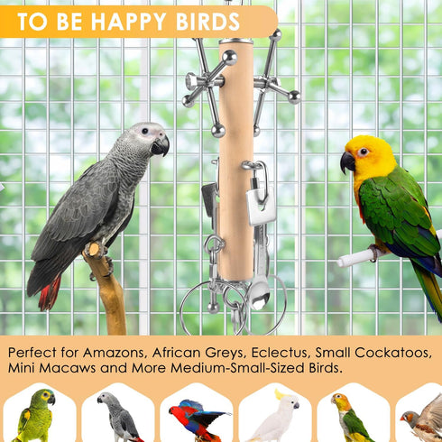 KATUMO Parrot Pull Spoons & Spinning Toys for Birds