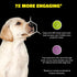 Playology Puppy Teething Bone - Chew Toy with Squeaker for Puppies 4-8 Months (Up to 60lbs)