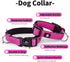 IVY&LANE Reflective Dog Collar and Leash Set, Breathable Nylon Pet Collar, Adjustable Neoprene Padded for Small Medium