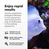 Brightwell Aquatics MicroBacter Start XLM, Concentrated Freshwater Nitrifying Bacteria, Aquarium Water Treatments