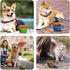 PetBonus 2-Pack Large Silicone Collapsible Dog Bowls, 34oz BPA Free Portable Travel Bowl for Cats and Dogs
