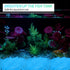 900pcs Glow in The Dark Rocks, Small Luminous Pebbles for Indoor/Outdoor Garden and Fish Tank