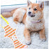 VICASKY Ultra-Absorbent Dog Diapers for Female Pets Reusable Physiology Pants Easy to Put Take Off Comfortable