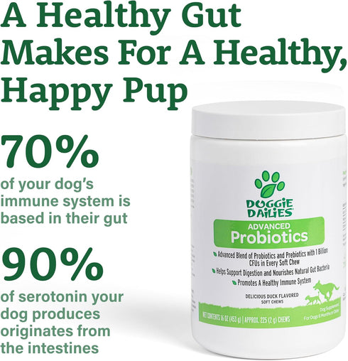 Doggie Dailies Probiotics for Dogs, Advanced Probiotics with Prebiotics, Supports Immune System and Digestive Health