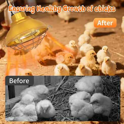 Abustle pig Bulb, 600W 2-Mode (350, Chicken Coop Heater with Carbon Fiber Heat Lamp for Chickens Brooder, Chicken