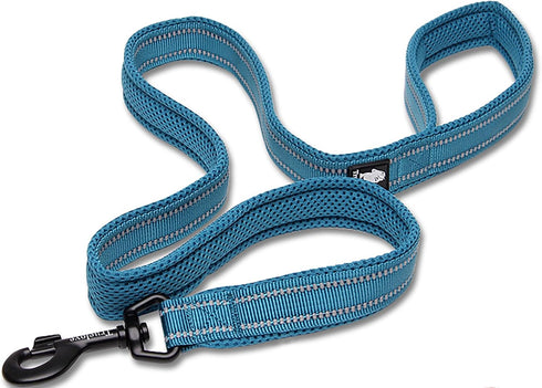 TRUE LOVE Reflective Dog Leash, Padded Puppy Walking Lead, Length 200cm, Truelove TLL2111 (Blue, L)