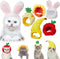 Weewooday 5 Pieces Cat Costume - Easter Bunny Hat Outfit with Ears for Funny Cat and Small Dogs Kitten Puppy Party