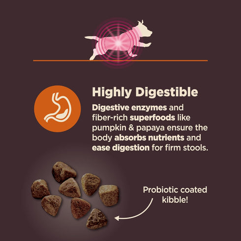 Wellness CORE Digestive Health Dry Dog Food with Wholesome Grains for Dogs with Sensitive Stomachs (Small Breed,