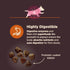 Wellness CORE Digestive Health Dry Dog Food with Wholesome Grains for Dogs with Sensitive Stomachs (Small Breed,