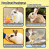 5 Rabbit Training Rings Toy Interactive Educational Stacking Rings Random Colors Puzzle Toys for Small Animal Bird