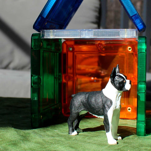 2.5" 3+ Safari Ltd. Boston Terrier Figurine - Lifelike Model Figure - Educational Toy for Boys, Girls, and Kids Ages