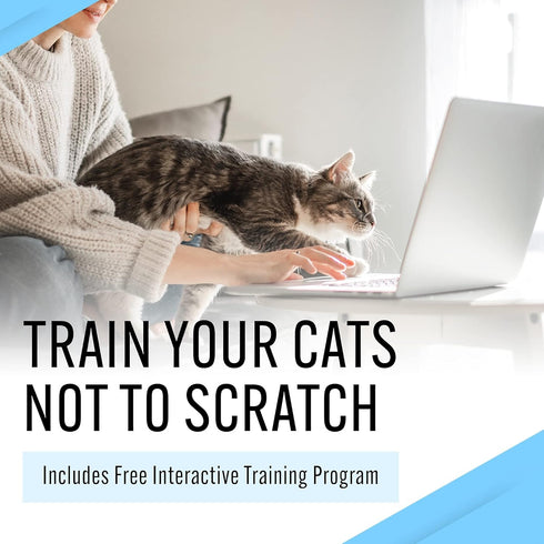 EBPP Stop The Scratch Cat Spray Deterrent, Non-Toxic, Safe for Plants and Furniture, Rosemary Oil