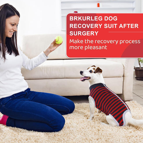 Recovery Suit for Dogs, Pet Recovery Suit After Surgery, Male Female Dog Neuter, Striped Abdominal Surgical Suit,