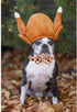 Lionheart Glory Turkey Dog Bow Collar, Bowtie Pet Gift Thanksgiving Collar for Small Dog
