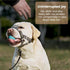 ANDA Gentle Leader Ultra-Light No-Pull Dog Headcollar, Adjustable and Breathable for Daily Use (Medium Size)
