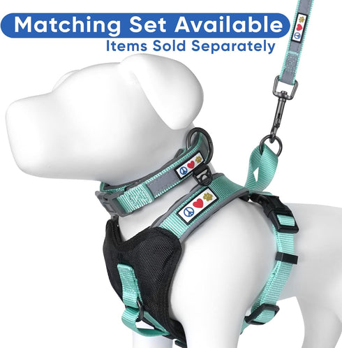 Pawtitas Reflective Dog Harness, Padded Dog Vest for Comfort Control, Great for Walking or Running, Small Teal