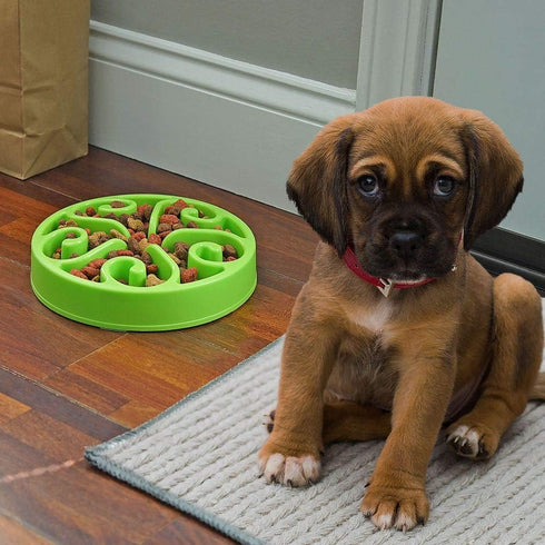 Slow Feeder Dog Bowl, Anti-Choking, Help Prevent Bloat, Non-Toxic BPA Free Feeding Dish SH-10303, Green