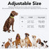 Light Up Dog Collar, Adjustable LED Rechargeable Waterproof for Night Walking, Glow in The Dark for Medium Large Dogs