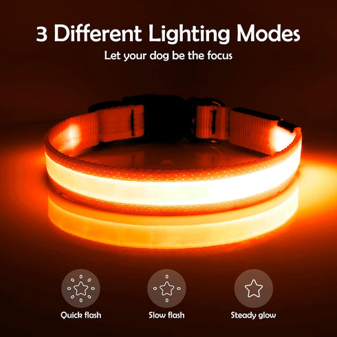 LED Dog Collar, Light Up Adjustable USB Rechargeable Safety Collar for Small Dogs (Small, Orange)