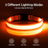 LED Dog Collar, Light Up Adjustable USB Rechargeable Safety Collar for Small Dogs (Small, Orange)