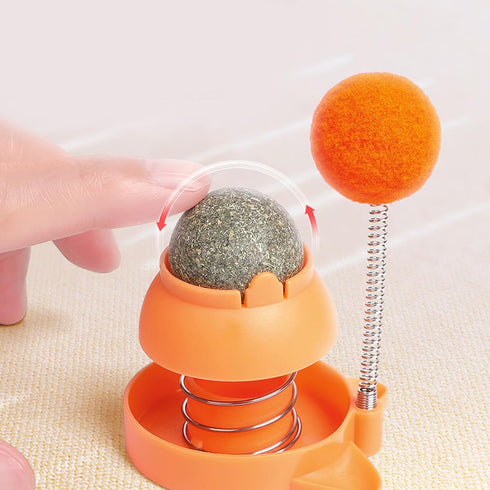 NIHUIFA Spring Puss Toy with for Indoor Play Entertainment Kittens