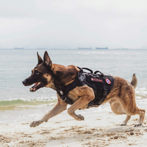 OneTigris Large Tactical Dog Harness, Adjustable No Pull Vest with Handle, Grey, Heavy Duty with Hook and Loop Panels