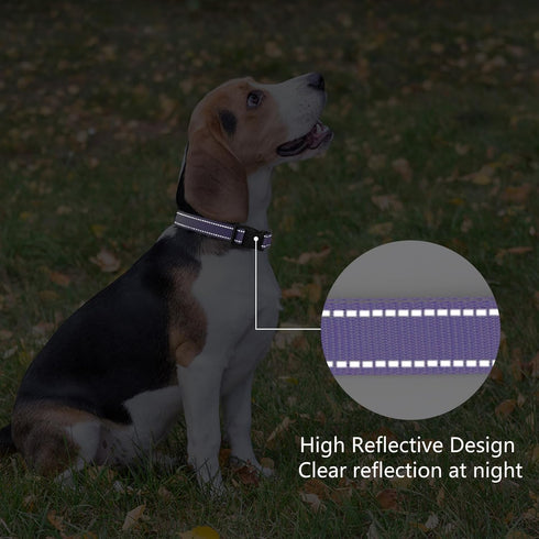 Reflective Dog Collar, Padded Soft Neoprene Breathable Quick Release Basic Collars for Medium Dogs, Purple Girl