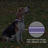 Padded Reflective Dog Collar with Soft Neoprene, Quick Release Basic Collars for Large Dogs, Purple Girl
