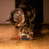 Gigwi Interactive Cat Toy, Automatic Moving Mouse with Furry Tail, Squeaky Toy for Indoor Cats, Orange Ear