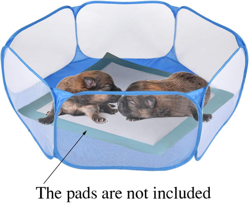 RYPET Guinea Pig Playpen - Breathable & Transparent Pet Playpen for Outdoor/Indoor Exercise Fence
