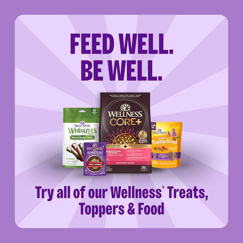 20 oz Wellness Old Mother Hubbard Hip & Joint Dog Biscuits, Natural Training Treats, Chicken, Apple, Oats, and Carrot