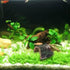 Betta Log Resin Hollow Tree Trunk Ornament, 4 Pcs Aquarium Hideout and Reptile Cave Decoration