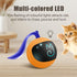 Migipaws Interactive Cat Ball Toy Set, Automatic Rolling Chase Ball with Fluffy Tail, Rechargeable (Orange)