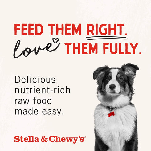 2.75oz Stella & Chewy's Freeze-Dried Raw Chicken Breast Dog Treats - Single Ingredient, No Additives - Premium Training