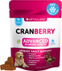 Dog UT Treats - Cranberry Chews for Dogs - Urinary Tract &